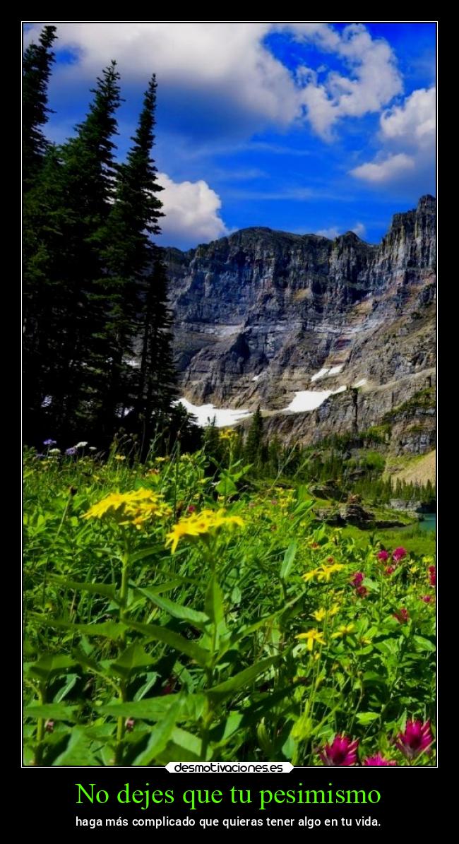 No dejes que tu pesimismo - 