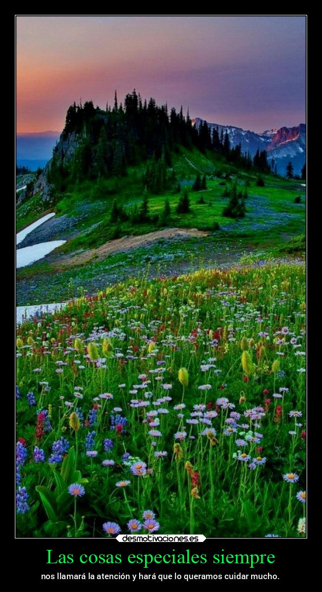 Las cosas especiales siempre - 