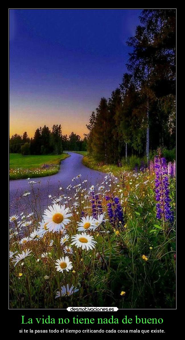 carteles vida vida chopper igbt desmovivetodavia2020 desmotivaciones