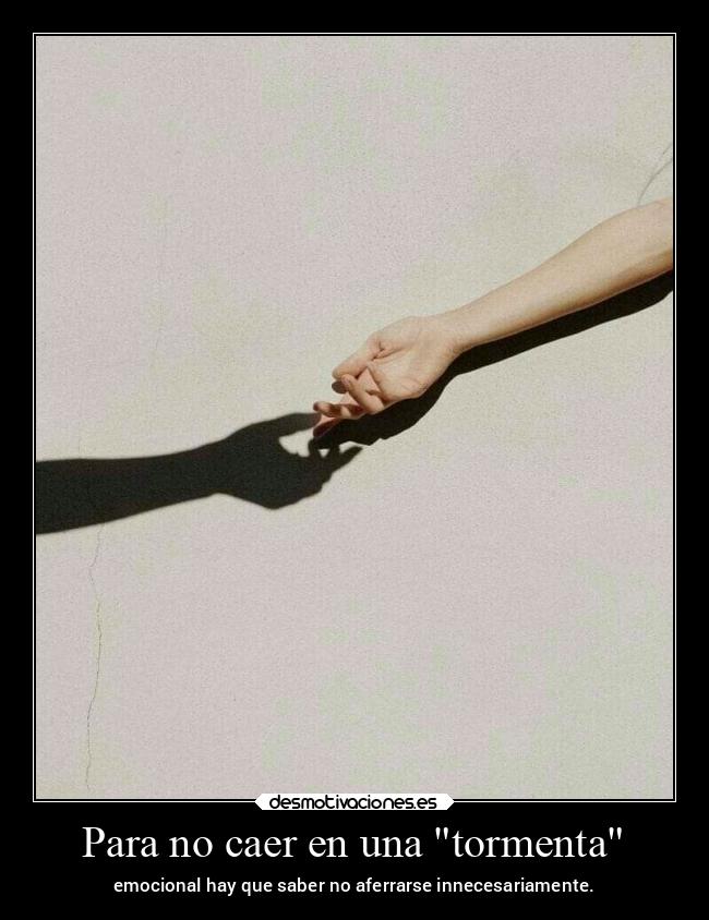 carteles vida emociones error necedad masquepalabras desmotivaciones