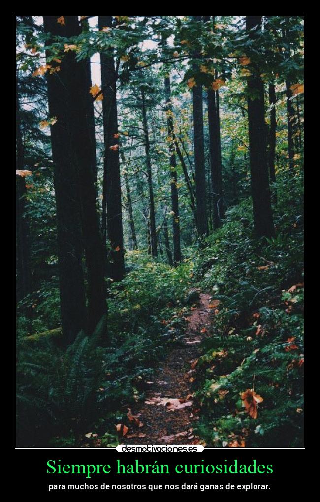 carteles vida lucy heartfilia lh16 desmovivetodavia2020 lasegundacola desmotivaciones