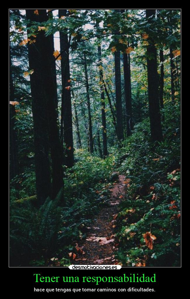 carteles vida lucy heartfilia lh16 desmovivetodavia2020 lasegundacola desmotivaciones