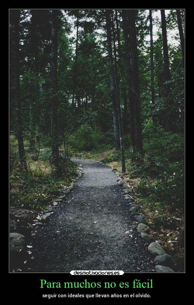 carteles vida lucy heartfilia lh16 desmovivetodavia2020 lasegundacola desmotivaciones