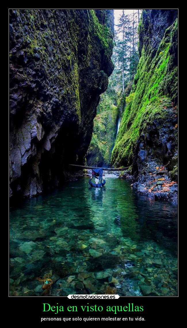 carteles vida lucy heartfilia lh16 desmovivetodavia2020 lasegundacola desmotivaciones