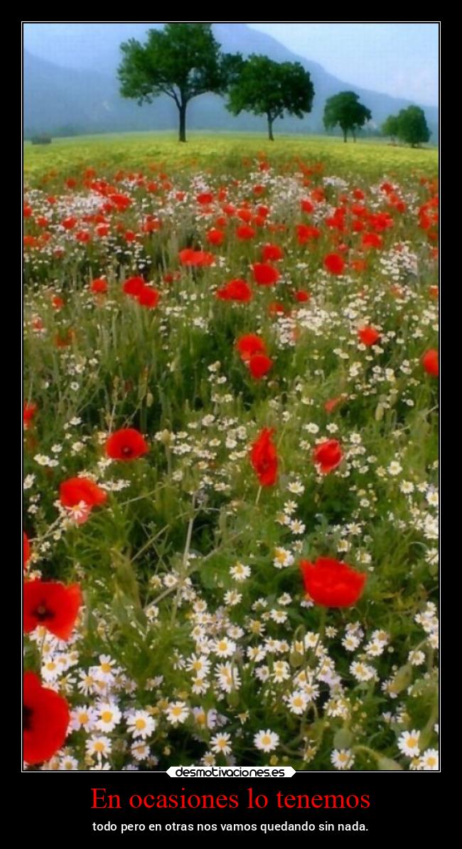 carteles vida primavera chopper igbt desmotivaciones