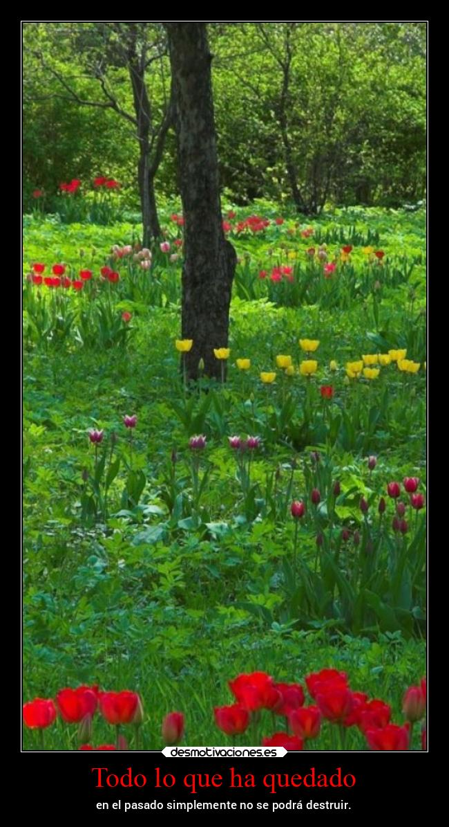 carteles vida primavera chopper igbt desmotivaciones