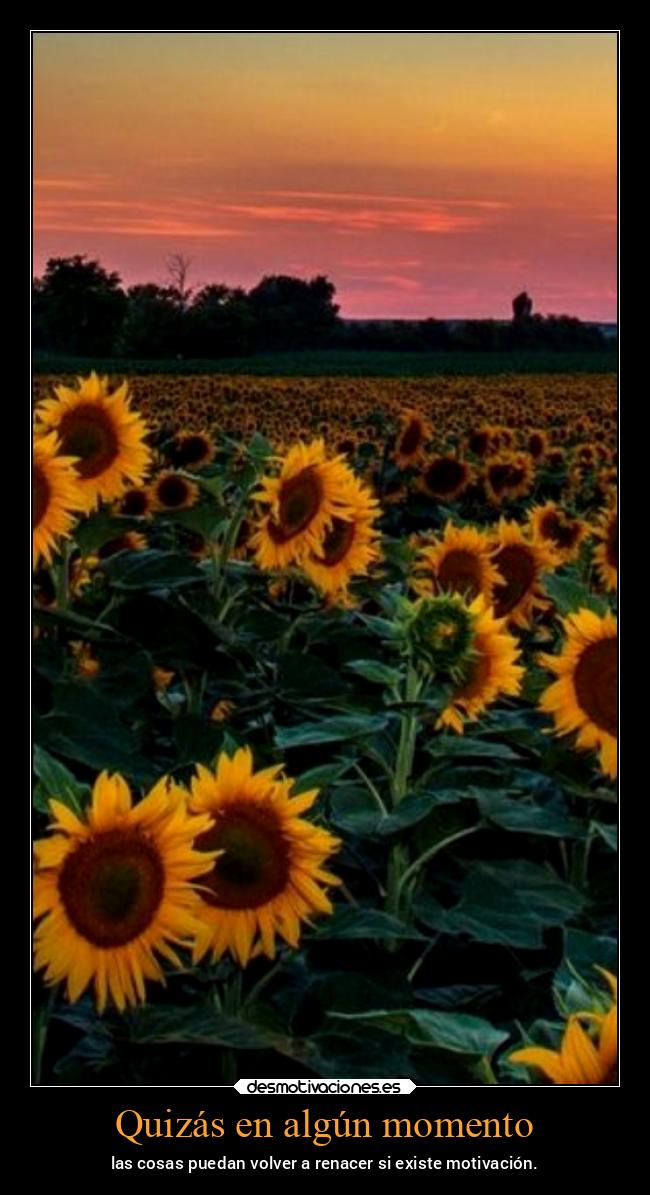 carteles vida primavera chopper igbt desmotivaciones