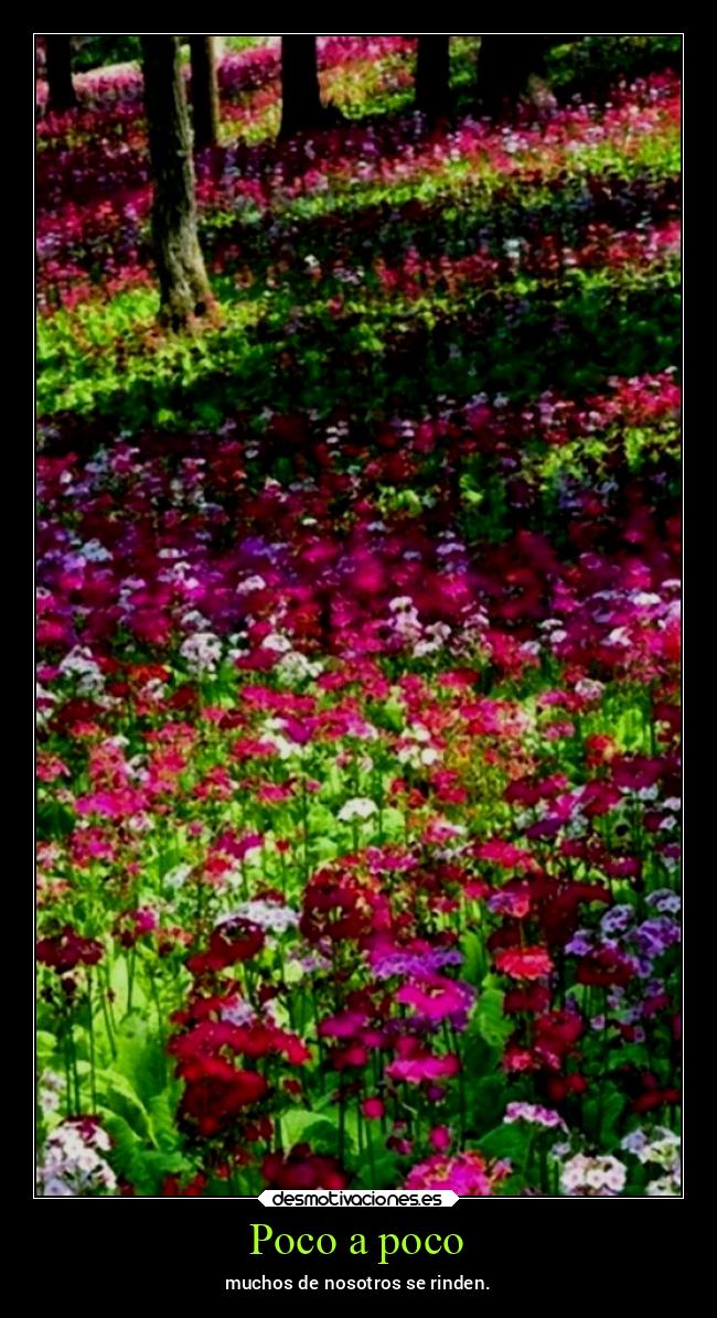 carteles vida primavera chopper igbt desmotivaciones