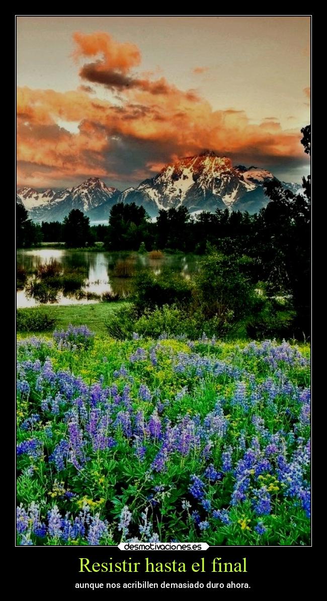 carteles vida primavera chopper igbt desmotivaciones