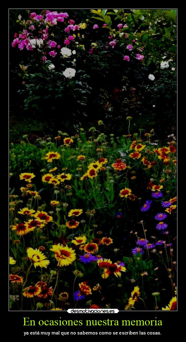 carteles vida primavera chopper igbt desmotivaciones