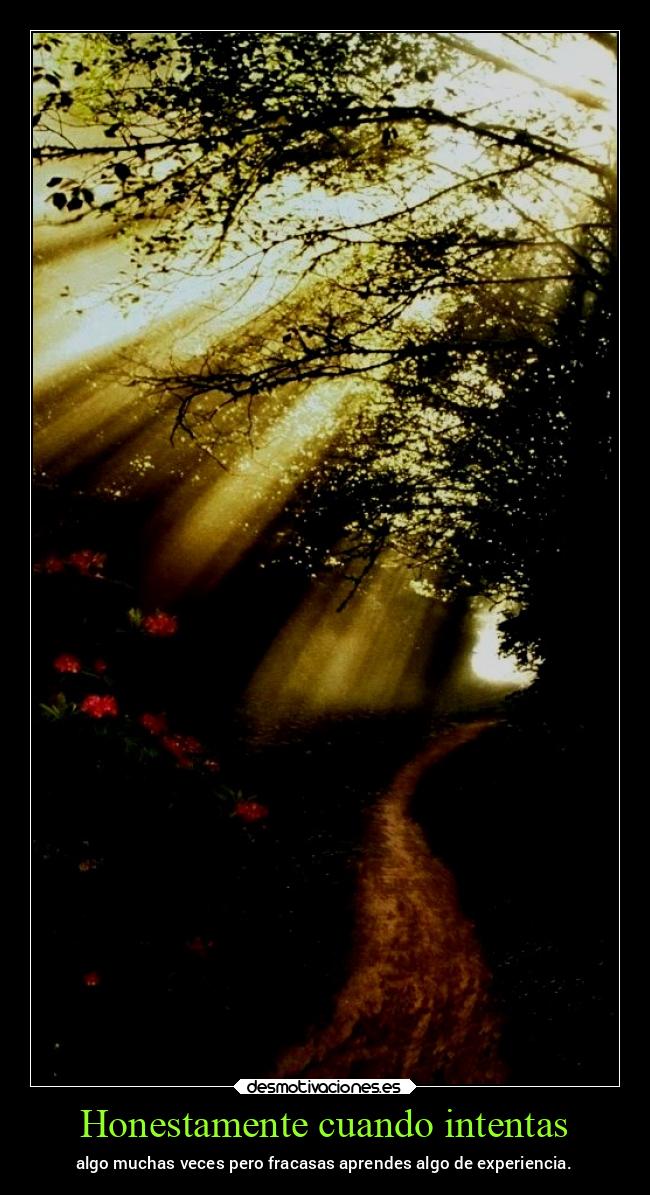Honestamente cuando intentas - algo muchas veces pero fracasas aprendes algo de experiencia.