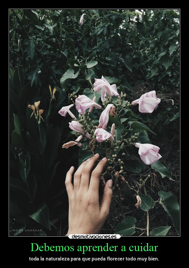 Debemos aprender a cuidar -