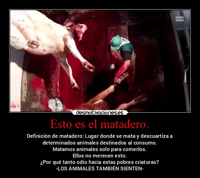 Esto es el matadero. - 