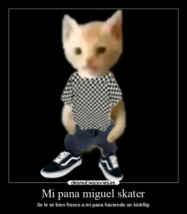 Mi pana miguel skater - Se le ve bien fresco a mi pana haciendo un kickflip