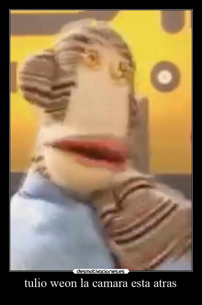 tulio weon la camara esta atras -