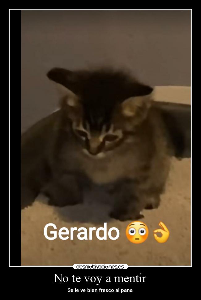 No te voy a mentir -