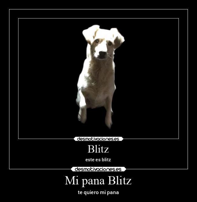 Mi pana Blitz - te quiero mi pana