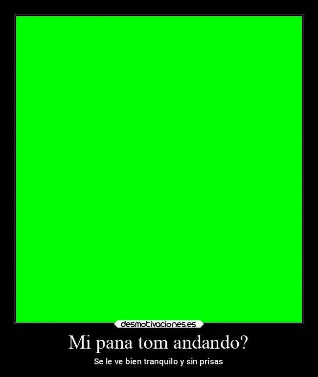 Mi pana tom andando? - 