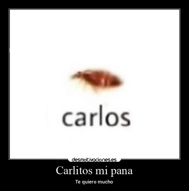 Carlitos mi pana - 