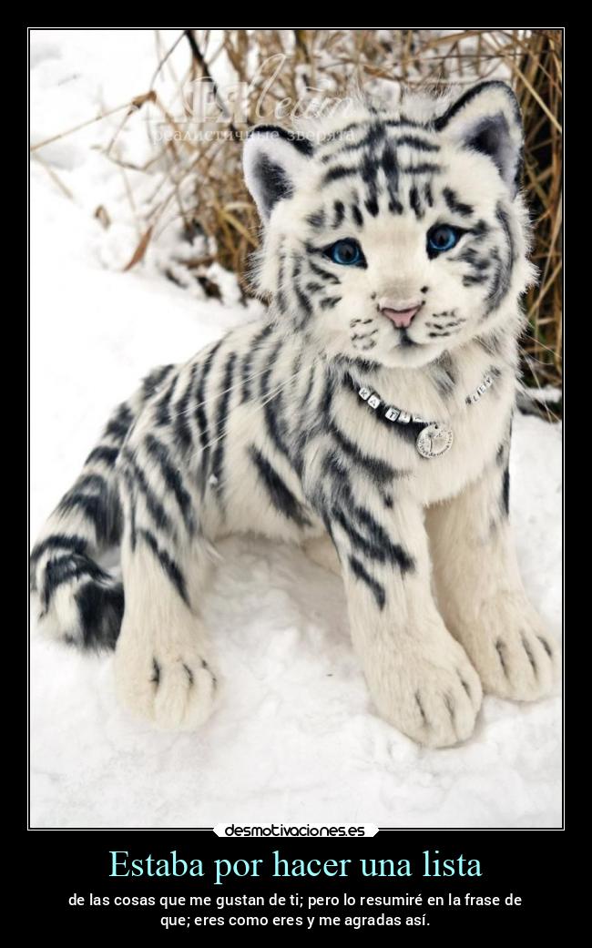 Estaba por hacer una lista - de las cosas que me gustan de ti; pero lo resumiré en la frase de
que; eres como eres y me agradas así.