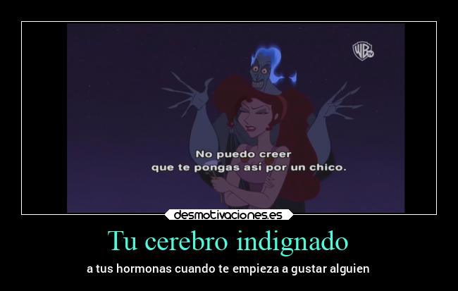 Tu cerebro indignado - a tus hormonas cuando te empieza a gustar alguien