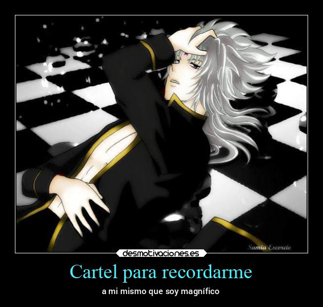 Cartel para recordarme - a mi mismo que soy magnífico