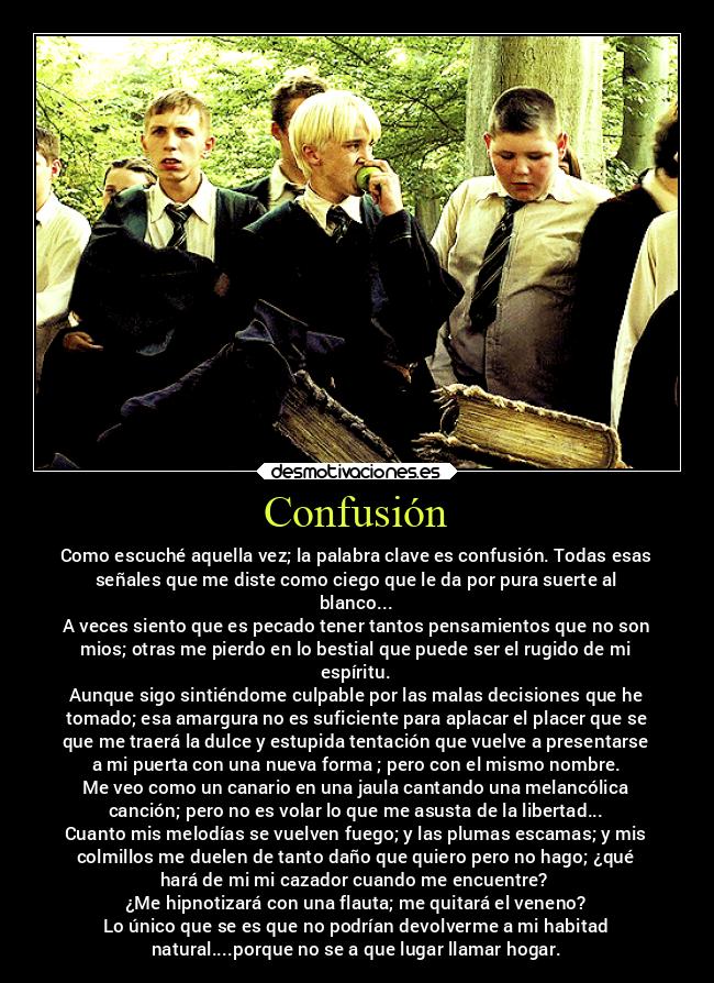 Confusión - Como escuché aquella vez; la palabra clave es confusión. Todas esas
señales que me diste como ciego que le da por pura suerte al
blanco...
A veces siento que es pecado tener tantos pensamientos que no son
mios; otras me pierdo en lo bestial que puede ser el rugido de mi
espíritu.
Aunque sigo sintiéndome culpable por las malas decisiones que he
tomado; esa amargura no es suficiente para aplacar el placer que se
que me traerá la dulce y estupida tentación que vuelve a presentarse
a mi puerta con una nueva forma ; pero con el mismo nombre.
Me veo como un canario en una jaula cantando una melancólica
canción; pero no es volar lo que me asusta de la libertad...
Cuanto mis melodías se vuelven fuego; y las plumas escamas; y mis
colmillos me duelen de tanto daño que quiero pero no hago; ¿qué
hará de mi mi cazador cuando me encuentre?
¿Me hipnotizará con una flauta; me quitará el veneno?
Lo único que se es que no podrían devolverme a mi habitad
natural....porque no se a que lugar llamar hogar.
