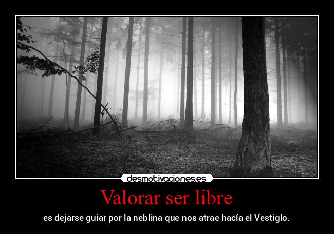 Valorar ser libre - es dejarse guiar por la neblina que nos atrae hacía el Vestiglo.