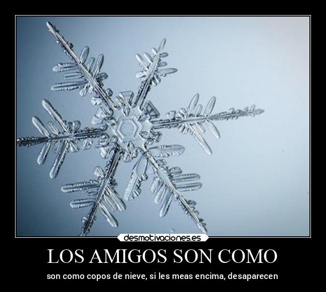 carteles amigos amigos amistad meowth desmotivaciones