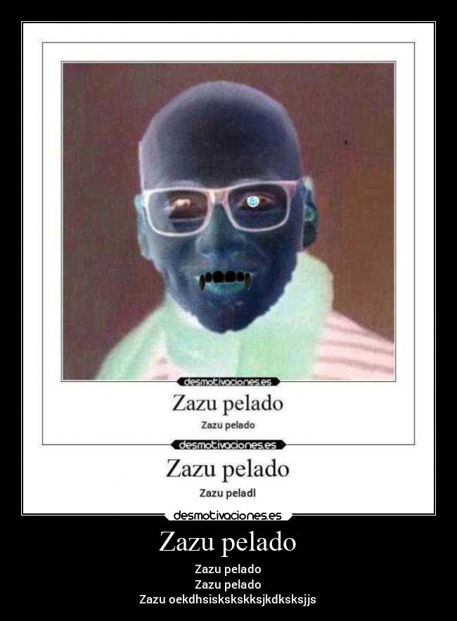 Zazu pelado - 