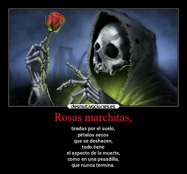 Rosas marchitas, - tiradas por el suelo,
pétalos secos
que se deshacen,
todo tiene
el aspecto de la muerte,
como en una pesadilla,
que nunca termina.