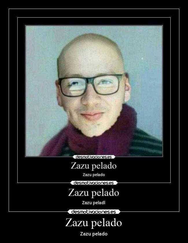 Zazu pelado - 