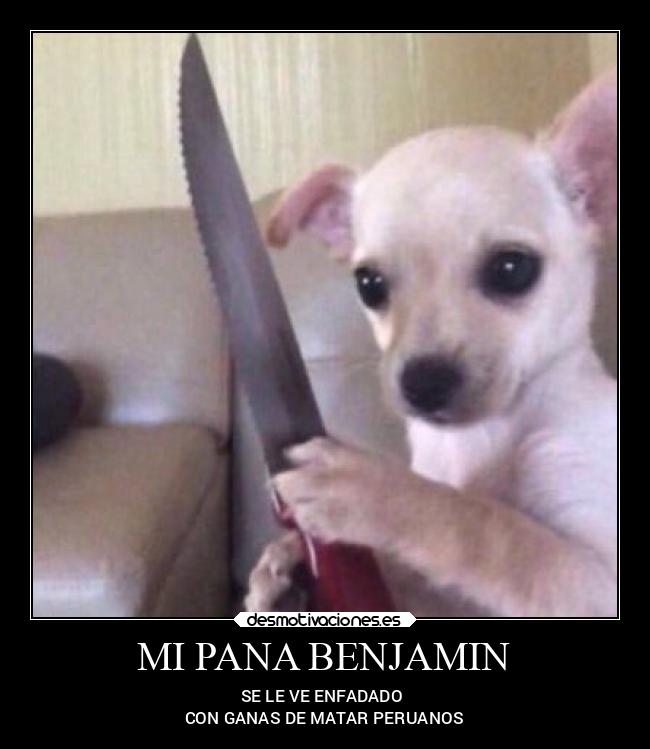 MI PANA BENJAMIN - SE LE VE ENFADADO
CON GANAS DE MATAR PERUANOS
