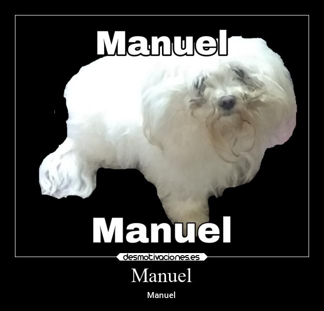 Manuel - Manuel