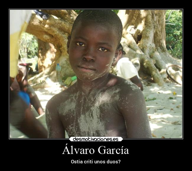 carteles animales desmotivaciones