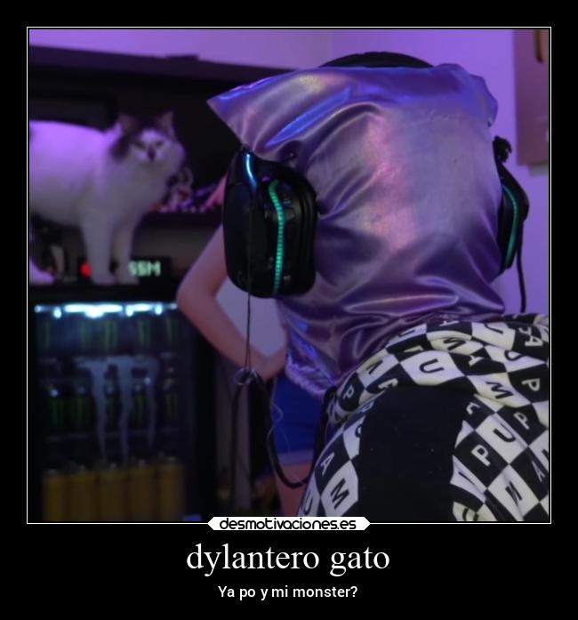 dylantero gato - Ya po y mi monster?