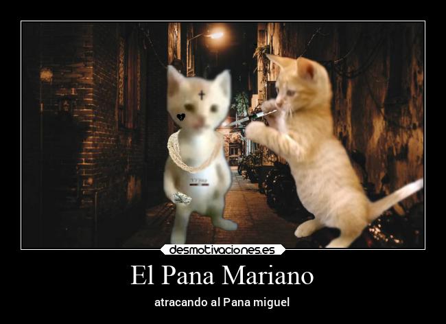 El Pana Mariano - 