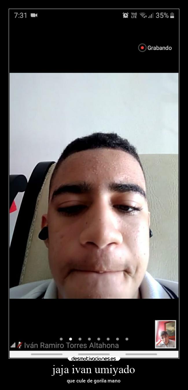 jaja ivan umiyado - que cule de gorila mano