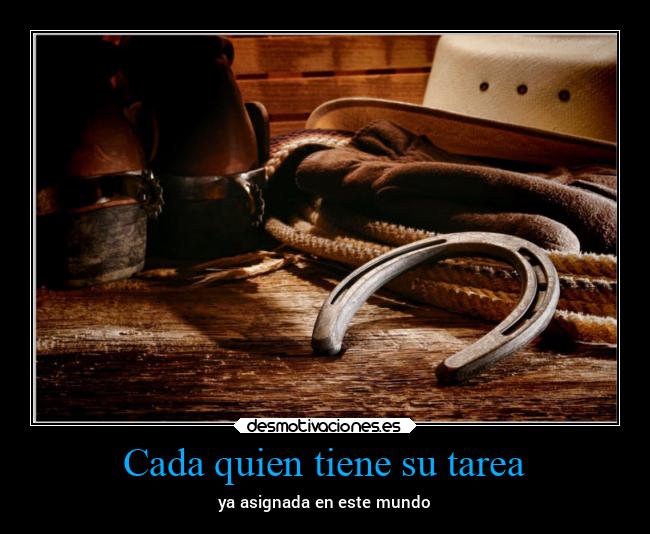 carteles bogota cine caracter alma besos casa corazon filosofia enfados desmotivaciones