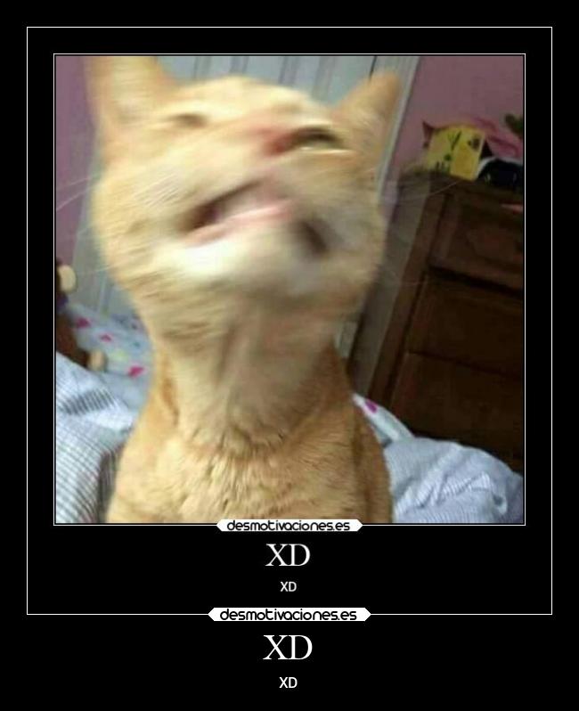 XD - XD