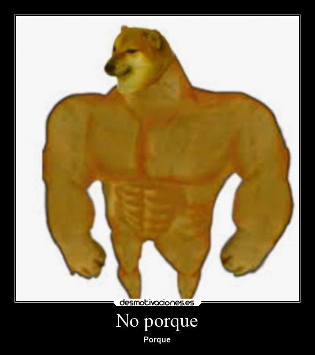 No porque - Porque