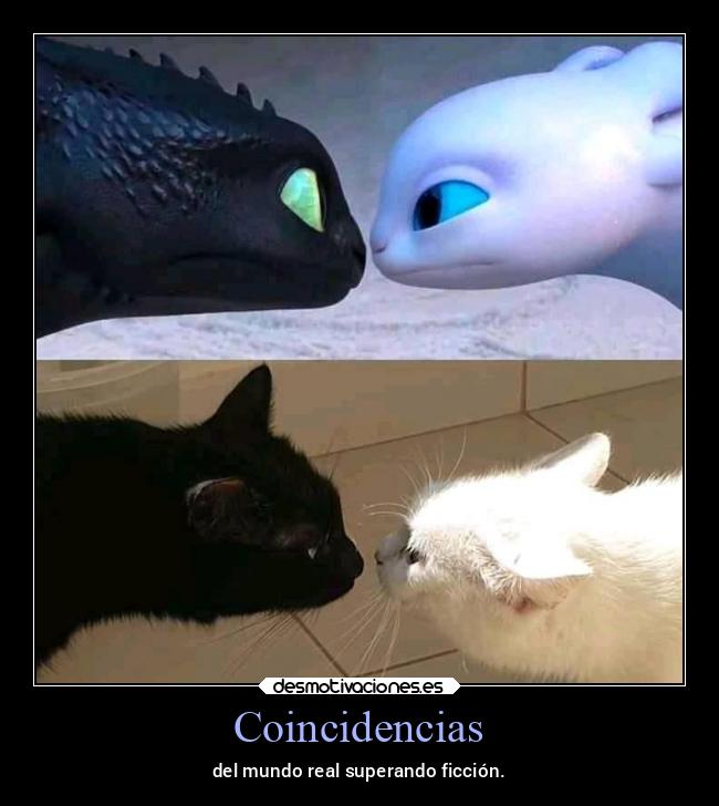 Coincidencias - del mundo real superando ficción.