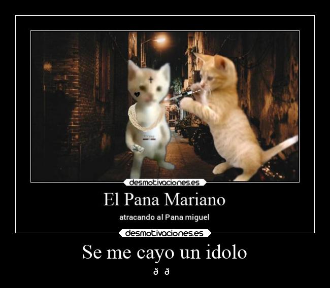 Se me cayo un idolo - 