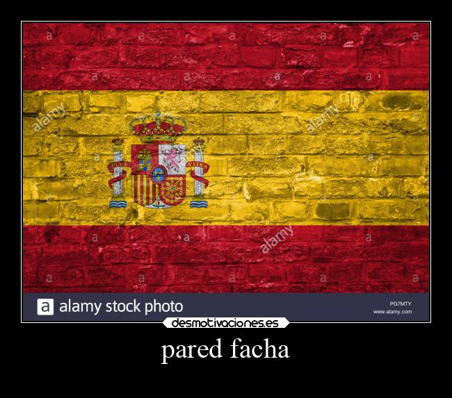 pared facha - 