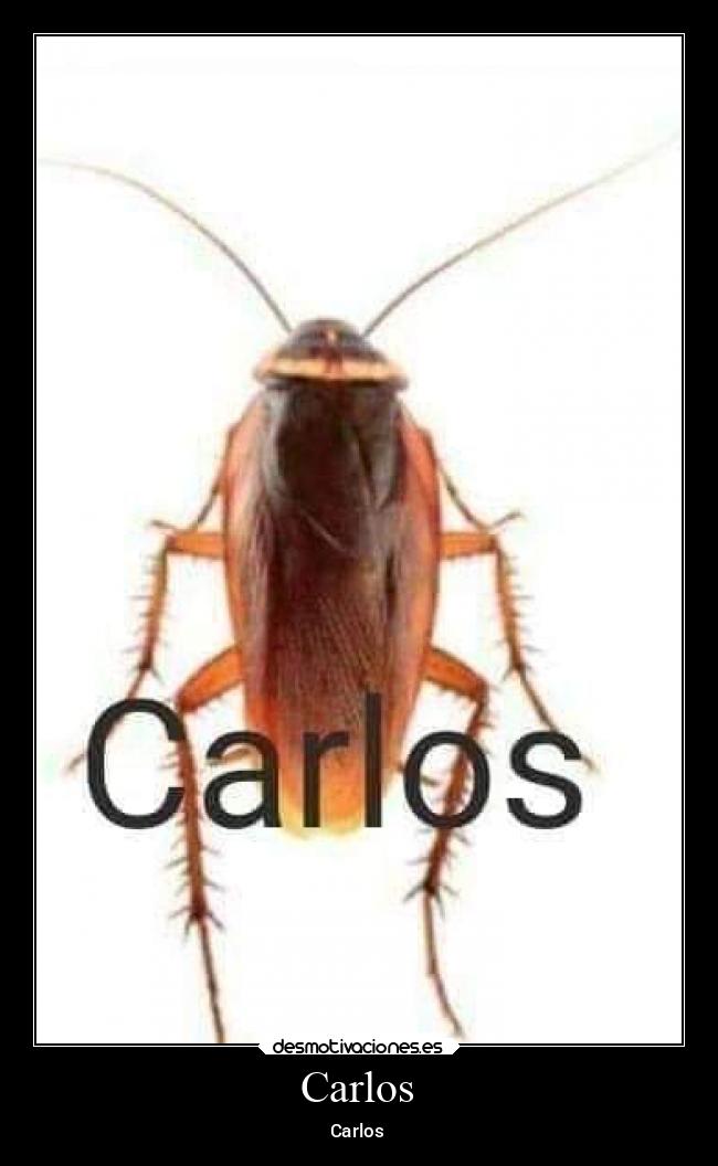 Carlos - Carlos