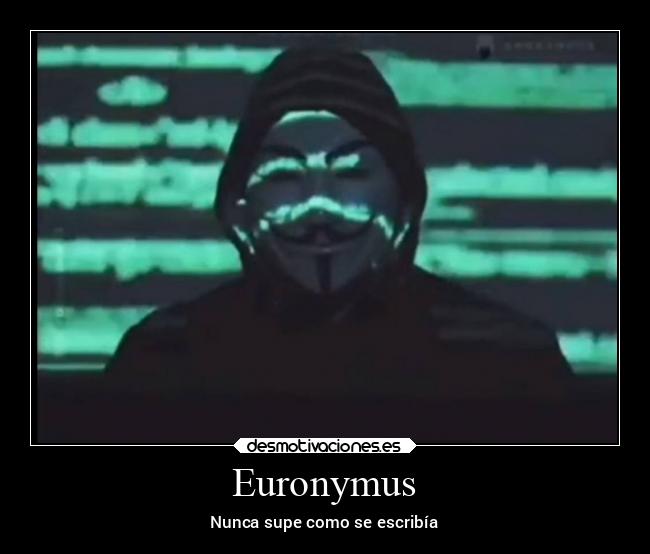 Euronymus -