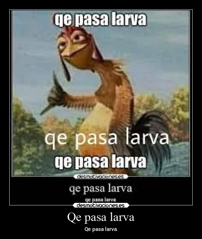Qe pasa larva - Qe pasa larva