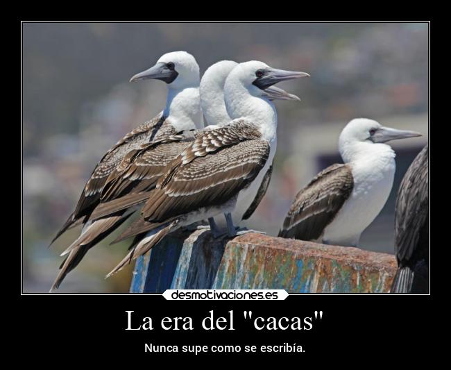 carteles memes desmotivaciones