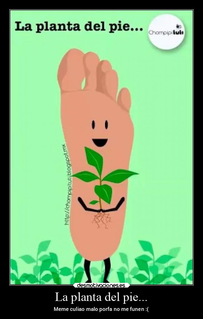 La planta del pie... - Meme culiao malo porfa no me funen :(