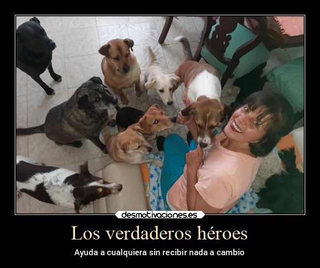 Los verdaderos héroes -